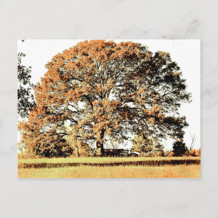 Tree of Life Postcard