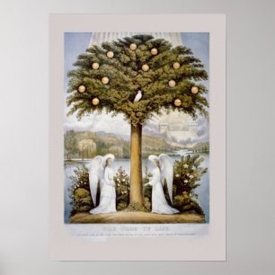 &,'Tree of Life' Poster