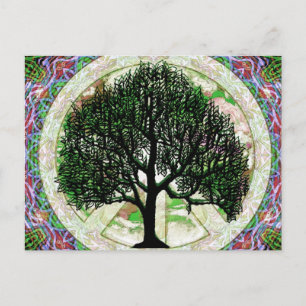 Tree of Life Prosperity Postcard