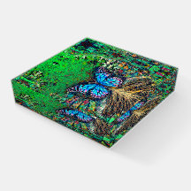 Tree of Life with Butterfly