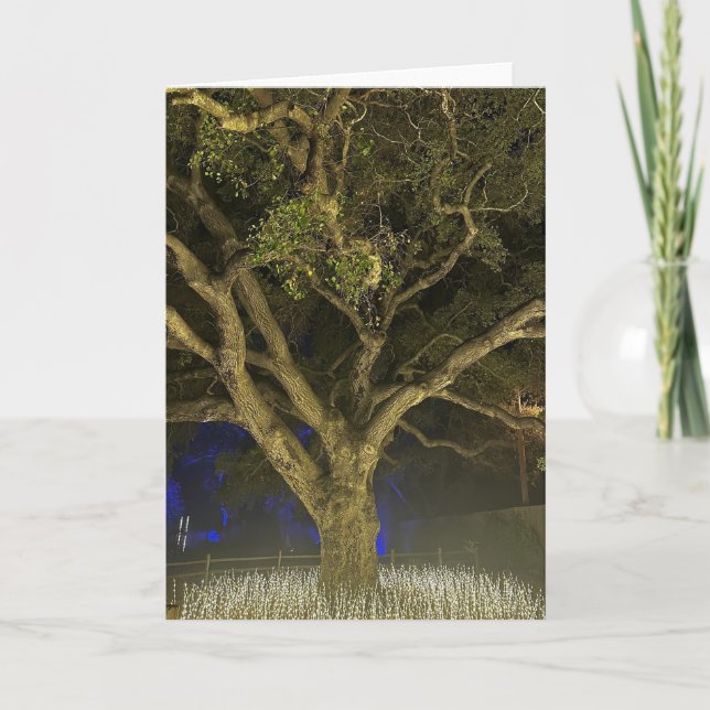 Tree of Light Greeting Card (Front)