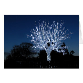 Tree Of Love
