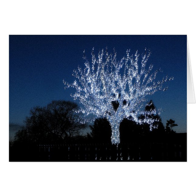 Tree Of Love (Front Horizontal)