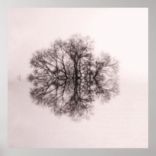 Tree of Reflection 2 Art Poster Print