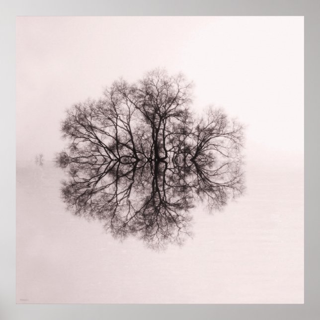 Tree of Reflection 2 Art Poster Print (Front)