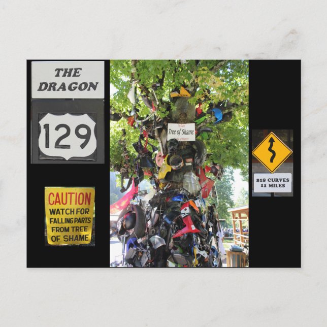 Tree of Shame Postcard (Front)