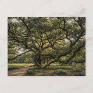 Tree of Southern Life   Live Oak Art   Postcard