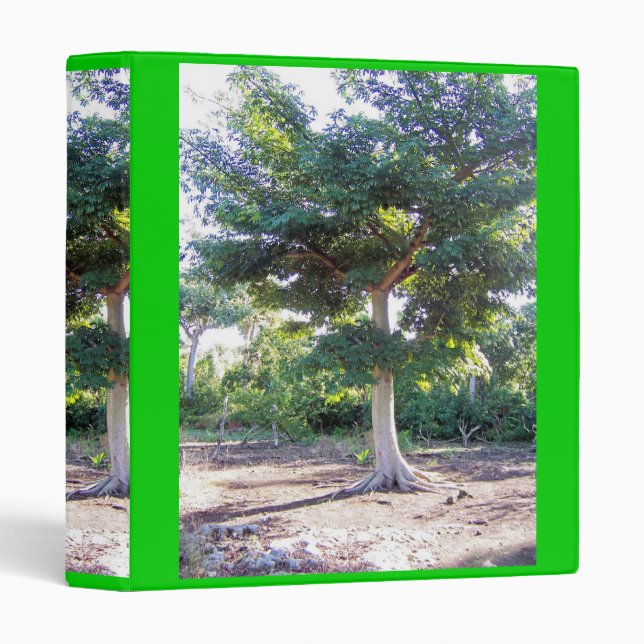 Tree of Wisdom-binder Binder (Front/Spine)