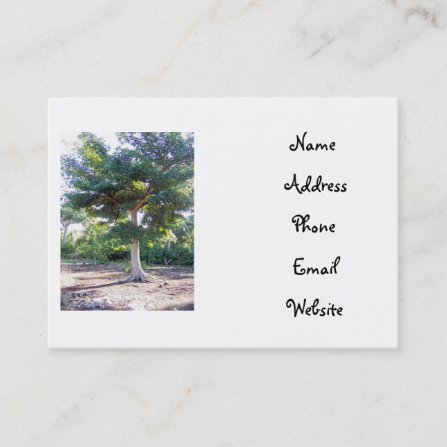 Tree of Wisdom-business cards (Front)