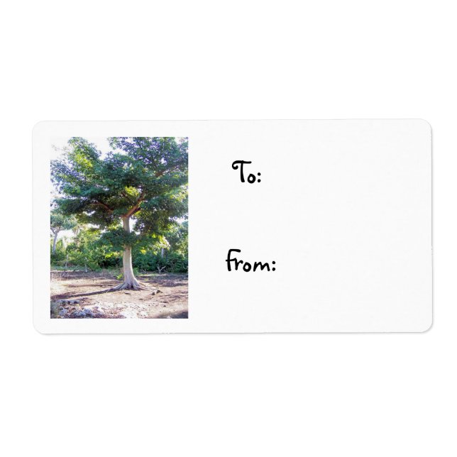 Tree of Wisdom-christmas label (Front)