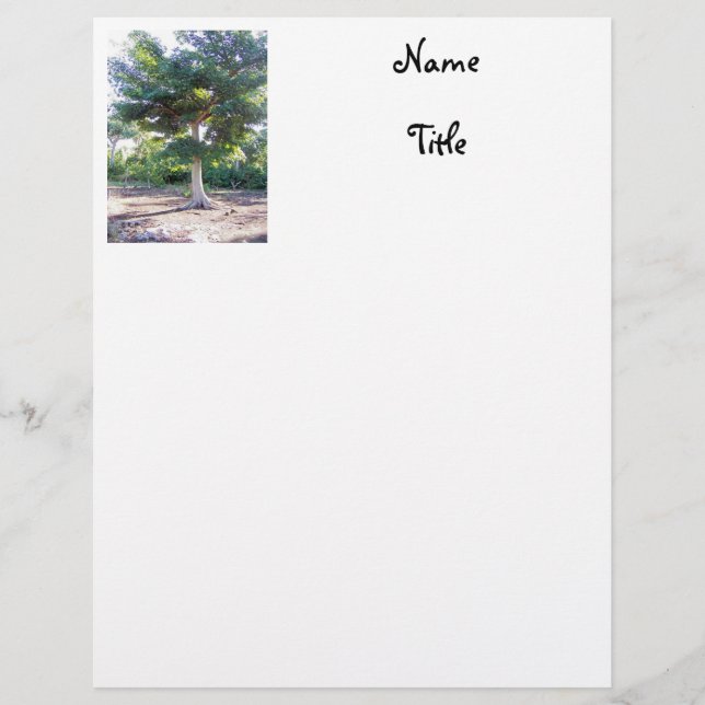 Tree of Wisdom-letterhead Letterhead (Front)