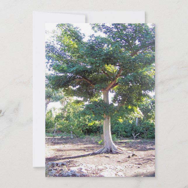 Tree of Wisdom-personalized invitations (Front)