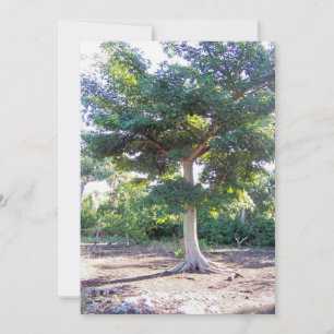 Tree of Wisdom-personalized invitations