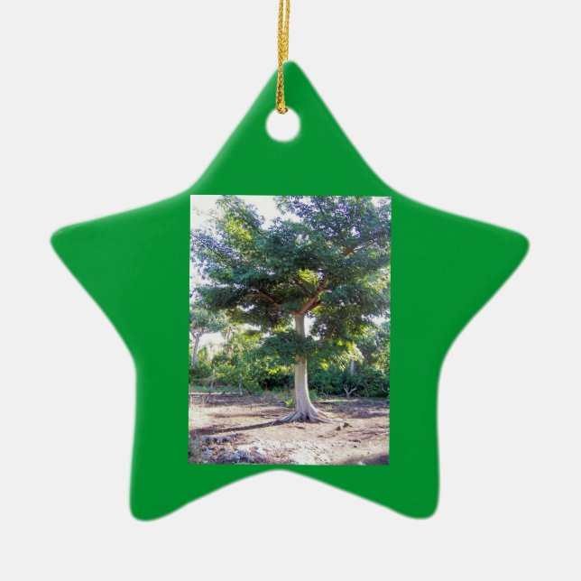 Tree of Wisdom-star ornament (Front)