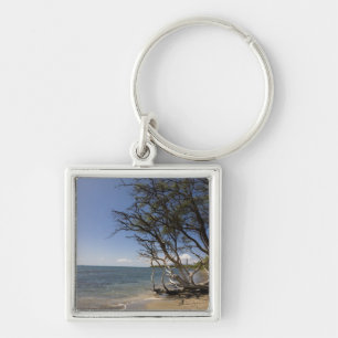 Tree On A Beach Along The Coastline Keychain