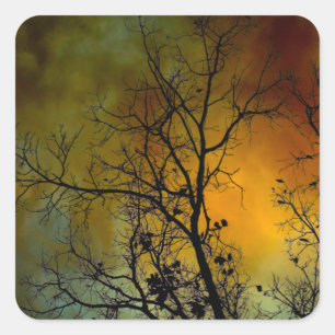 tree on a stormy morning square sticker