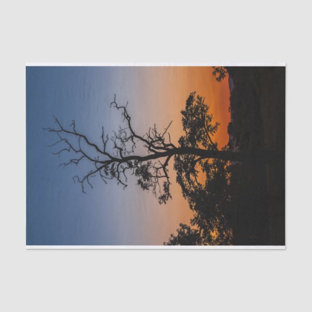 Tree on a sunset background tissue paper (Front)