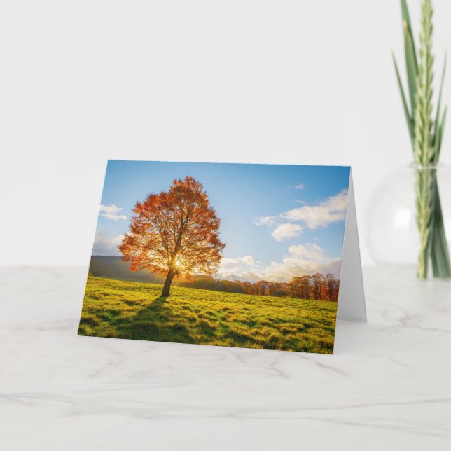 Tree on Fire Card (Front)