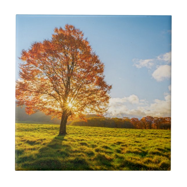 Tree on Fire Tile (Front)