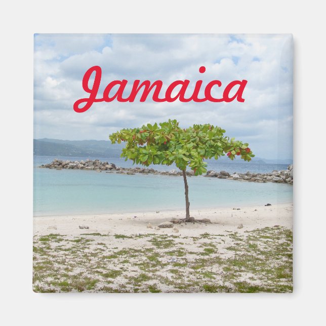 TREE ON SECLUDED BEACH IN JAMAICA MAGNET (Front)