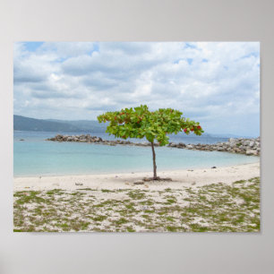 TREE ON SECLUDED BEACH  POSTER