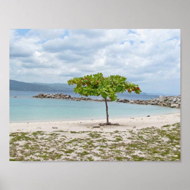 TREE ON SECLUDED BEACH  POSTER (Front)