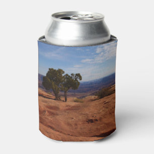 Tree Out of Red Rocks at Canyonlands National Park Can Cooler