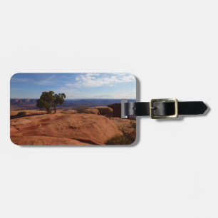 Tree Out of Red Rocks at Canyonlands National Park Luggage Tag