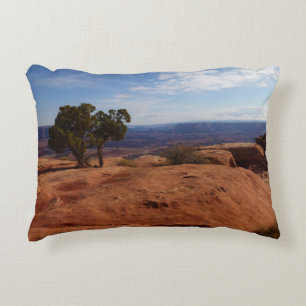 Tree Out of Red Rocks I at Canyonlands Accent Pillow
