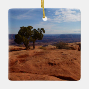 Tree Out of Red Rocks I at Canyonlands Ceramic Ornament