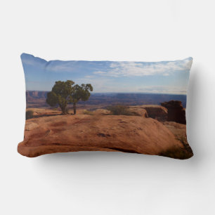 Tree Out of Red Rocks I at Canyonlands Lumbar Pillow
