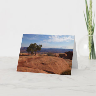 Tree Out of Red Rocks I at Canyonlands Note Card