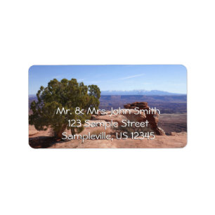 Tree Out of Red Rocks II at Canyonlands Label