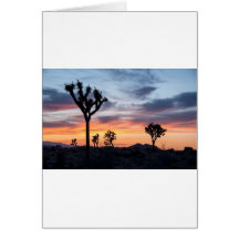 Tree Park  Party Personalize Destiny Destiny'S