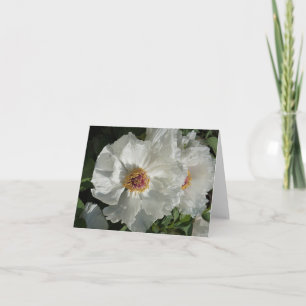 Tree Peonies Note Card
