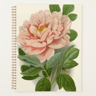 Tree Peony – Elegant Vintage Botanical Design Planner