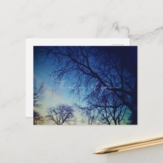 Tree Photography Postcard (Front/Back In Situ)