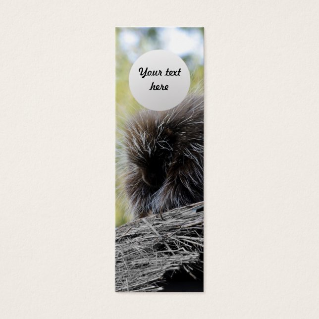 Tree Porcupine (Front)