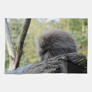 Tree Porcupine Kitchen Towel