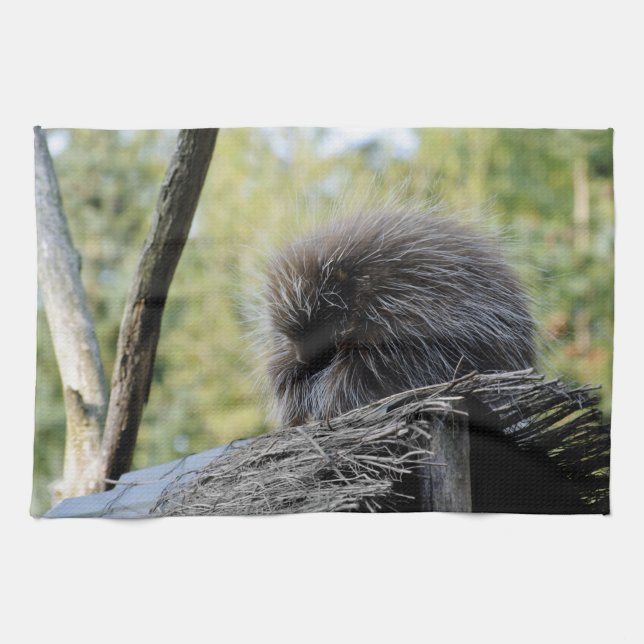 Tree Porcupine Kitchen Towel (Horizontal)