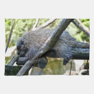 Tree Porcupine Kitchen Towel