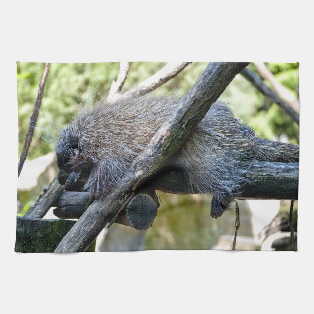 Tree Porcupine Kitchen Towel (Horizontal)