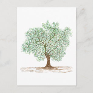 tree postcard