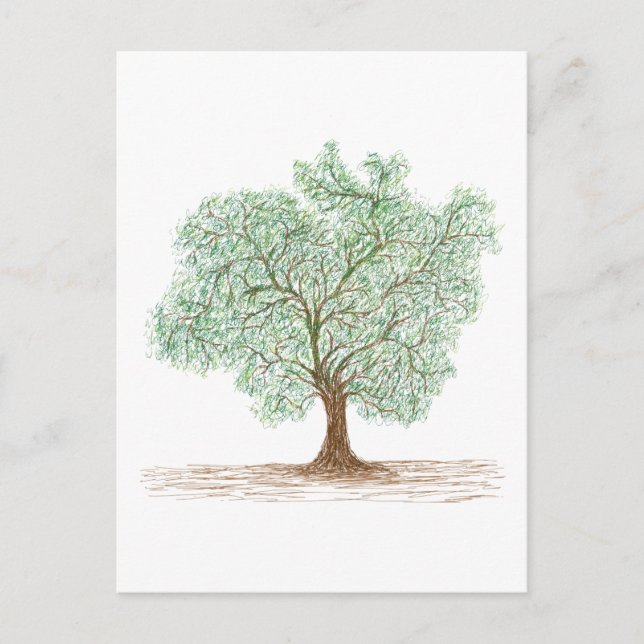 tree postcard (Front)