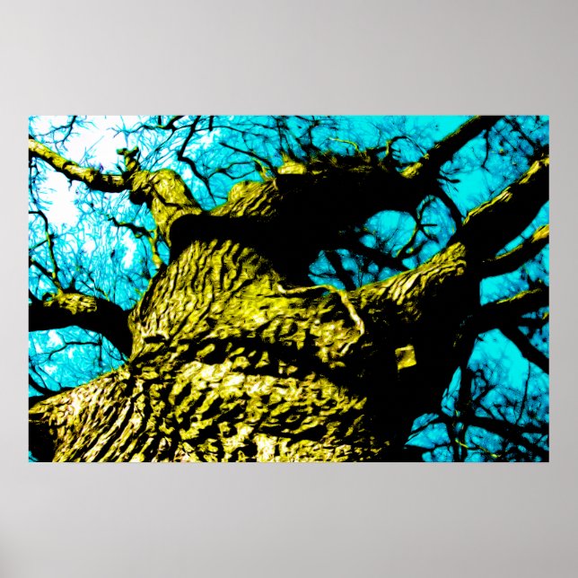 Tree Poster (Front)