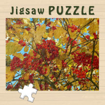 Tree Red Berries Yellow Leaves Autumn Photo -