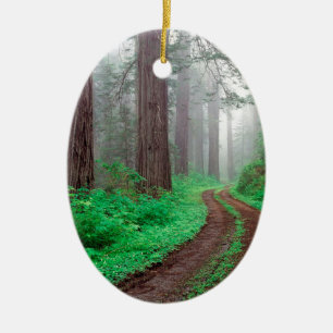 Tree Redwood California Ceramic Ornament