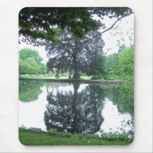 Tree reflected in the water mouse pad