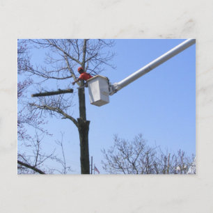 Tree Removal ~ postcard