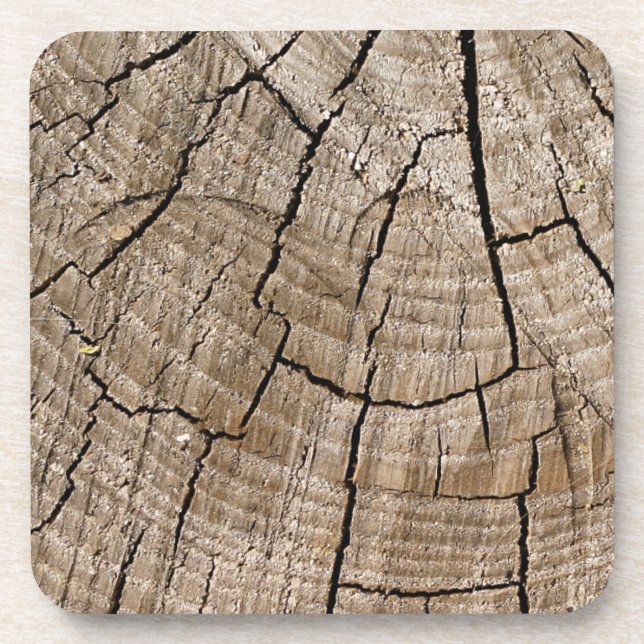 Tree Rings Coaster (Front)